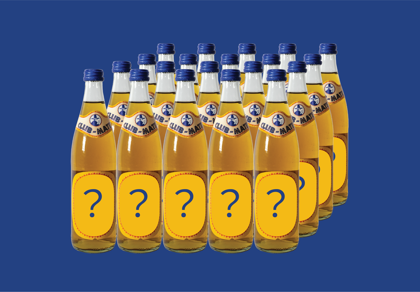 Club-Mate pol pol, 20 x 0,5l
